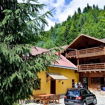 Cabana Bradul Rodna Luaran gambar